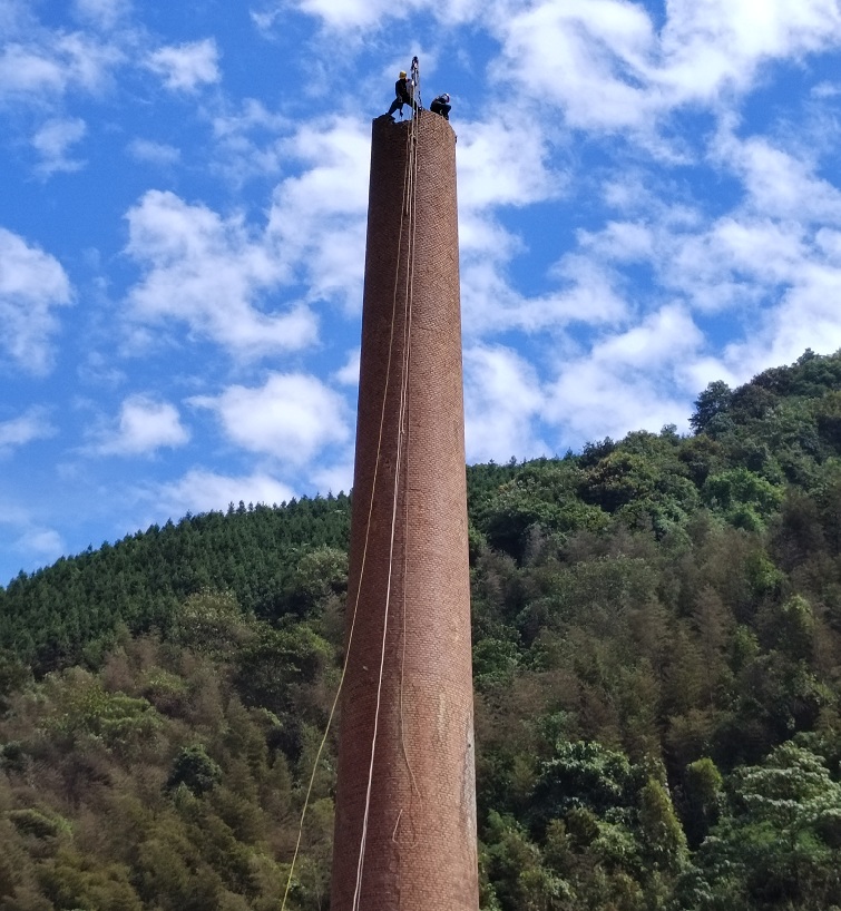 1691367852286439.jpg 1691367852286439.jpg